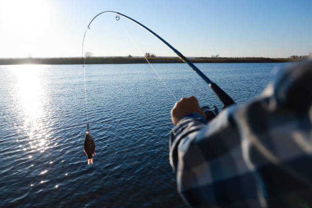 Fisherman catching fish with rod at riverside, closeup